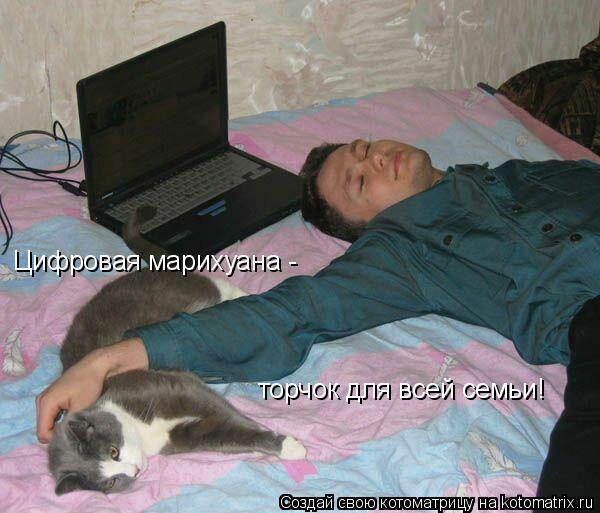 Котоматрица: Цифровая марихуана -  торчок для всей семьи!