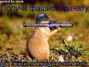 Котоматрица: Получи фашист гранату!