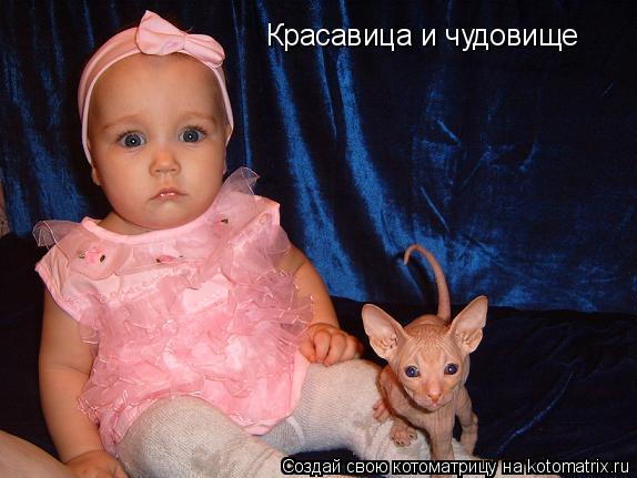 Котоматрица: Красавица и чудовище