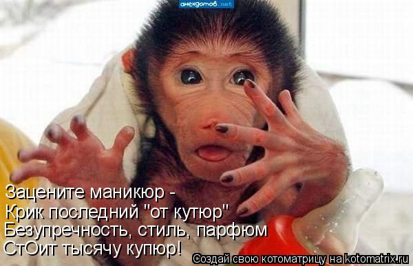Котоматрица: Зацените маникюр - Крик последний "от кутюр" Безупречность, стиль, парфюм СтОит тысячу купюр!