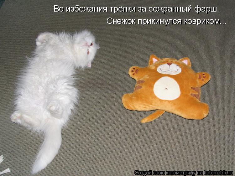 Во избежания трёпки за сожранный фарш, Снежок прикинулся ковриком...... Котоматрица: Во избежания трёпки за сожранный фарш, Снежок прикинулся ковриком...