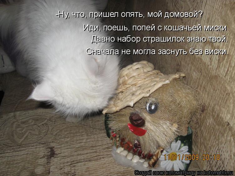 Котоматрица: -Ну, что, пришел опять, мой домовой? Иди, поешь, попей с кошачьей миски Давно набор страшилок знаю твой. Сначала не могла заснуть без виски.