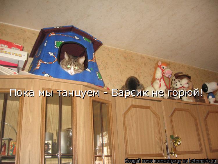 Котоматрица: Пока мы танцуем - Барсик не горюй!