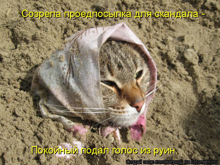 Котоматрица: Созрела проедпосылка для скандала - Покойный подал голос из руин.