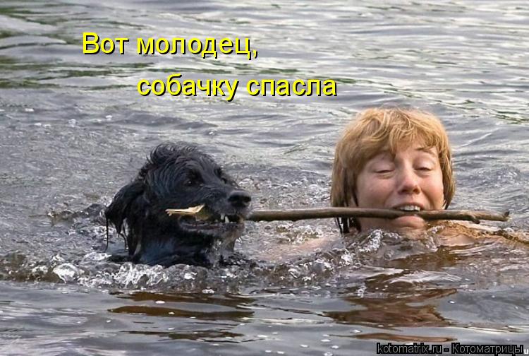 Котоматрица: Вот молодец, собачку спасла