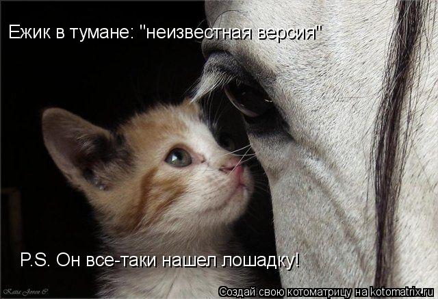 Котоматрица: Ежик в тумане: "неизвестная версия" P.S. Он все-таки нашел лошадку!