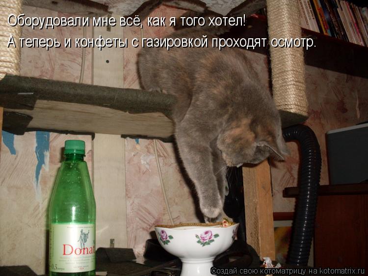 Котоматрица: Оборудовали мне всё, как я того хотел! А теперь и конфеты с газировкой проходят осмотр.