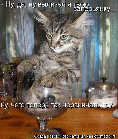 Котоматрица: - Ну, да, ну вылизал я твою  валерьянку... ну, чего теперь так нервничать-то?