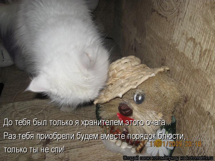 Котоматрица: До тебя был только я хранителем этого очага... Раз тебя приобрели будем вместе порядок блюсти, только ты не спи!
