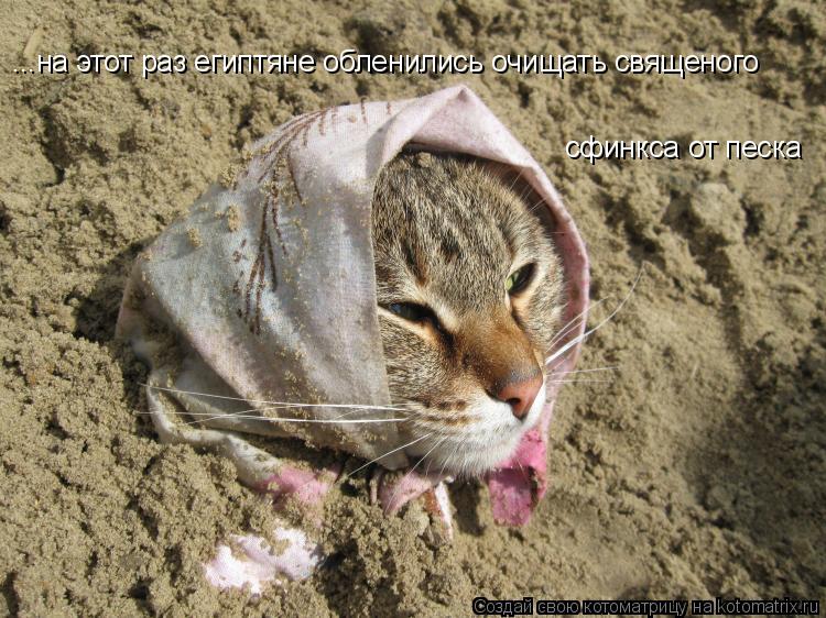 Котоматрица: ...на этот раз египтяне обленились очищать священого  сфинкса от песка