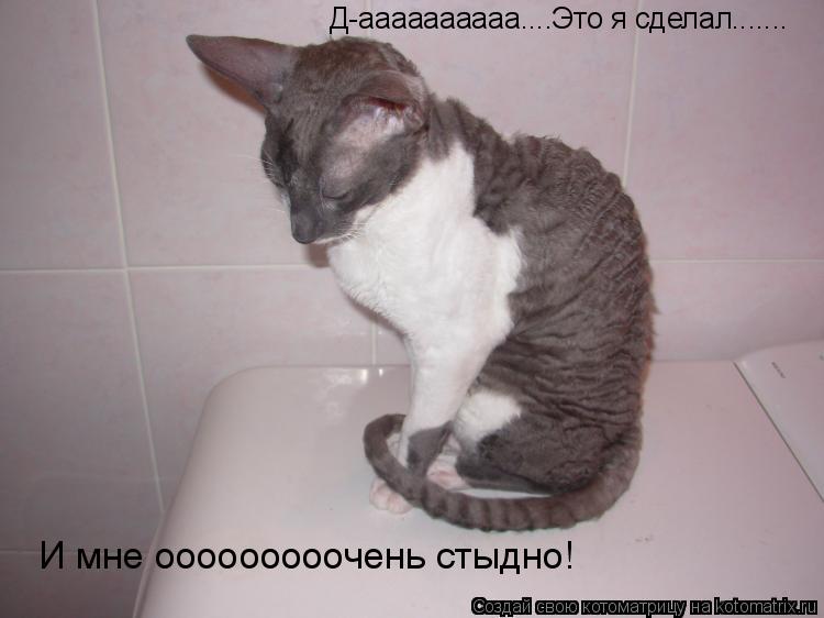 Д-аааааааааа....Это я сделал....... И мне ооооооооочень стыдно!... Котоматрица: Д-аааааааааа....Это я сделал....... И мне ооооооооочень стыдно!