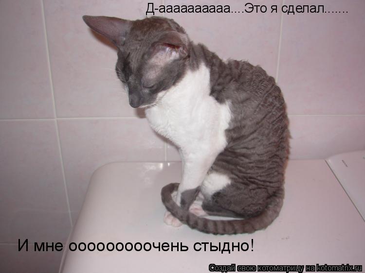 Котоматрица: Д-аааааааааа....Это я сделал....... И мне ооооооооочень стыдно!