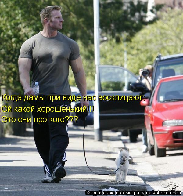 Котоматрица: Это они про кого??? Ой какой хорошенький!!! Когда дамы при виде нас восклицают: