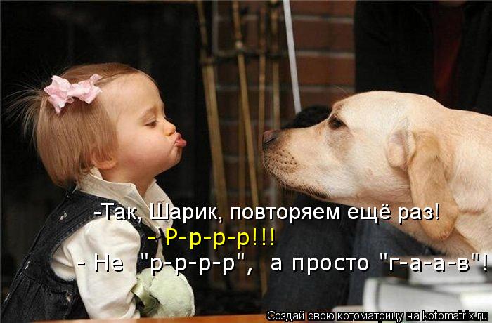 -Так, Шарик, повторяем ещё раз! - Р-р-р-р!!! - Не "р-р-р-р", а просто "г-а-а-в"!... Котоматрица: -Так, Шарик, повторяем ещё раз! - Р-р-р-р!!! - Не "р-р-р-р", а просто "г-а-а-в"!