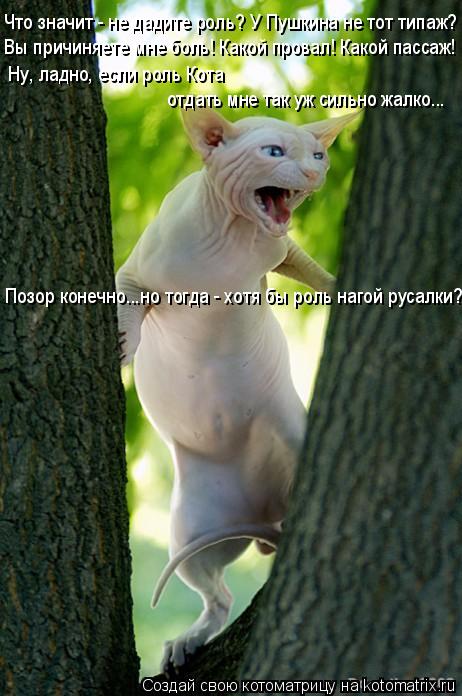 Котоматрица: Что значит - не дадите роль? У Пушкина не тот типаж? Вы причиняете мне боль! Какой провал! Какой пассаж! Ну, ладно, если роль Кота  отдать мне та