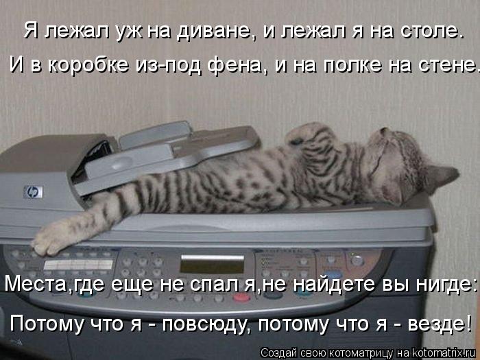 Котоматрица: Я лежал уж на диване, и лежал я на столе.  И в коробке из-под фена, и на полке на стене.  Места,где еще не спал я,не найдете вы нигде: Потому что я 