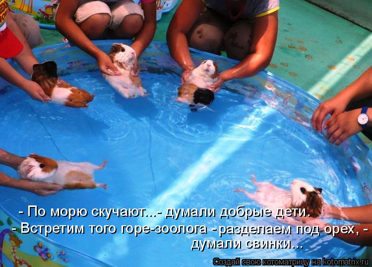 - Встретим того горе-зоолога - разделаем под орех, - думали свинки... - По морю скучают...- думали д... Котоматрица: - Встретим того горе-зоолога - разделаем под орех, - думали свинки... - По морю скучают...- думали добрые дети.