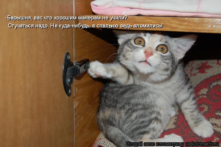 Котоматрица: Стучаться надо. Не куда-нибудь, в спальню ведь вломились! -Барышня, вас что хорошим манерам не учили?