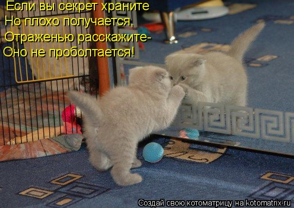 Если вы секрет храните Но плохо получается, Отраженью расскажите- Оно не проболтается!... Котоматрица: Если вы секрет храните Но плохо получается, Отраженью расскажите- Оно не проболтается!