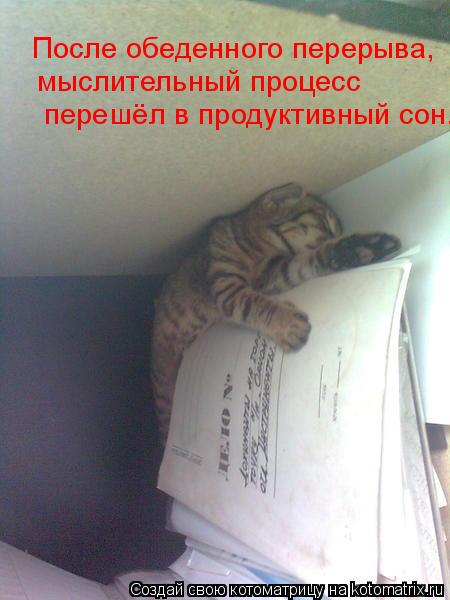 После обеденного перерыва, мыслительный процесс перешёл в продуктивный сон.... Котоматрица: После обеденного перерыва, мыслительный процесс перешёл в продуктивный сон.