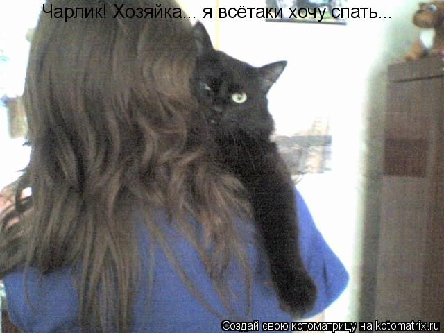 Чарлик! Хозяйка... я всётаки хочу спать...... Котоматрица: Чарлик! Хозяйка... я всётаки хочу спать...