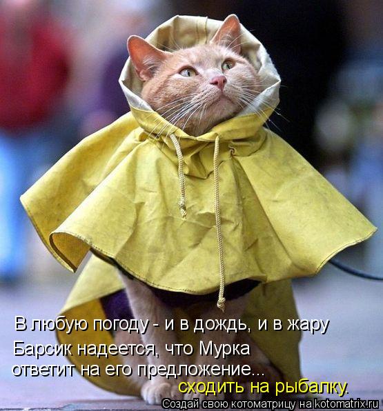 В любую погоду - и в дождь, и в жару Барсик надеется, что Мурка ответит на его предложение... сходит... Котоматрица: В любую погоду - и в дождь, и в жару Барсик надеется, что Мурка ответит на его предложение... сходить на рыбалку.