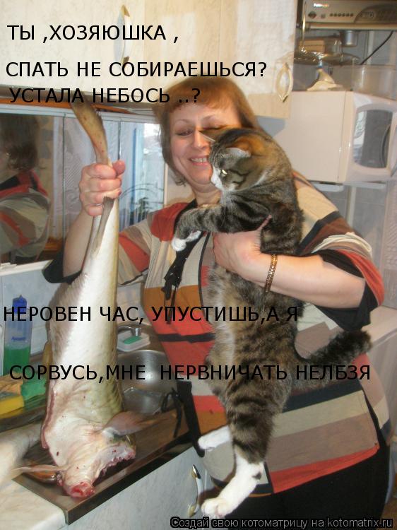 Котоматрица: ТЫ ,ХОЗЯЮШКА , СПАТЬ НЕ СОБИРАЕШЬСЯ? УСТАЛА НЕБОСЬ ..? НЕРОВЕН ЧАС, УПУСТИШЬ,А Я СОРВУСЬ,МНЕ  НЕРВНИЧАТЬ НЕЛБЗЯ