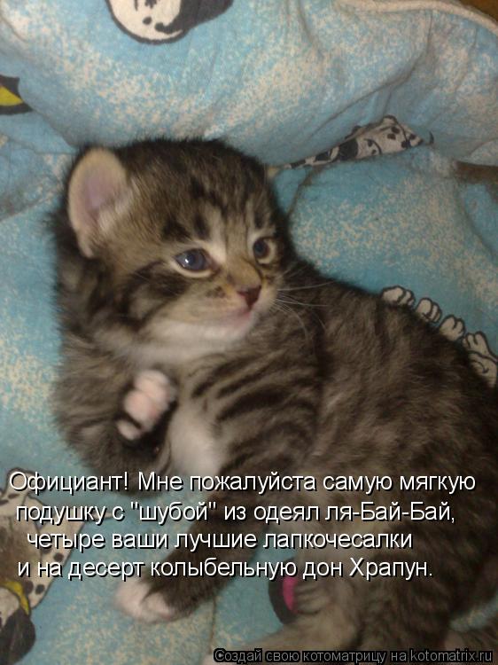 Котоматрица: Официант! Мне пожалуйста самую мягкую подушку с "шубой" из одеял ля-Бай-Бай,  четыре ваши лучшие лапкочесалки  и на десерт колыбельную дон Хр