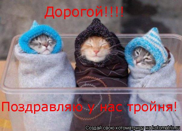 Котоматрица: Дорогой!!!! Поздравляю у нас тройня!