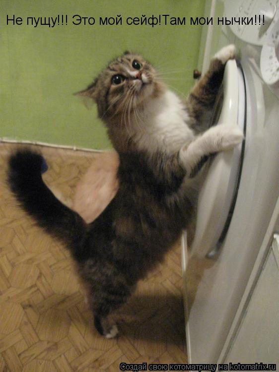 Котоматрица: Не пущу!!! Это мой сейф!Там мои нычки!!!