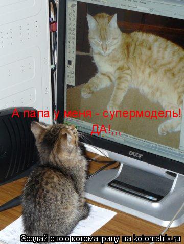 Котоматрица: А папа у меня - супермодель! ДА!,,,
