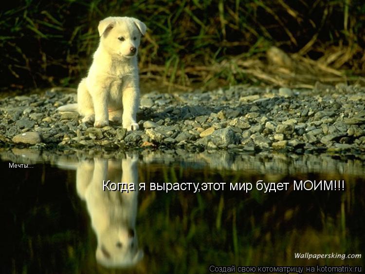 Котоматрица: Когда я вырасту,этот мир будет МОИМ!!! Мечты...