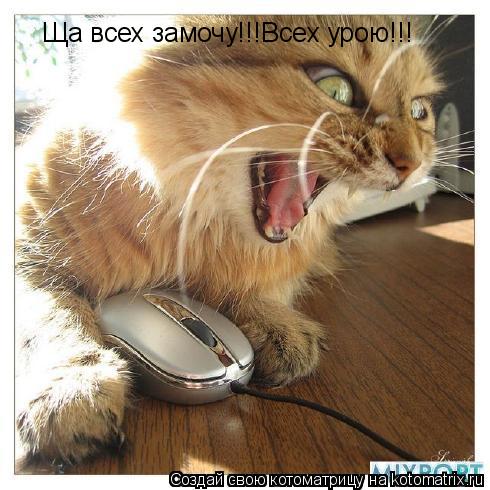 Котоматрица: Ща всех замочу!!!Всех урою!!!
