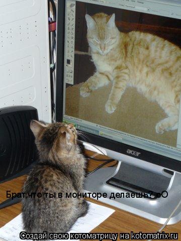 Котоматрица: Брат,что ты в мониторе делаешь? оО