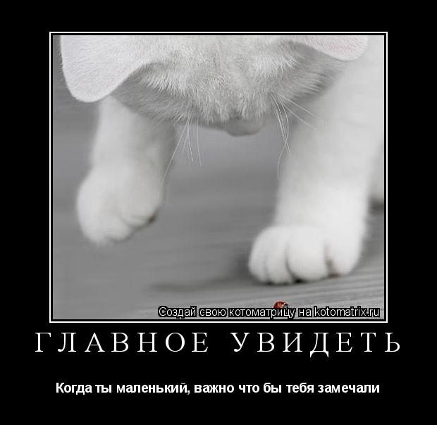 Котоматрица: Главное увидеть Когда ты маленький, важно что бы тебя замечали