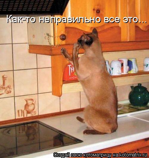 Как-то неправильно все это...... Котоматрица: Как-то неправильно все это...