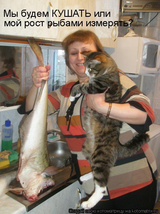 мой рост рыбами измерять? Мы будем КУШАТЬ или... Котоматрица: мой рост рыбами измерять? Мы будем КУШАТЬ или