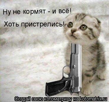 Котоматрица: Ну не кормят - и всё! Хоть пристрелись!