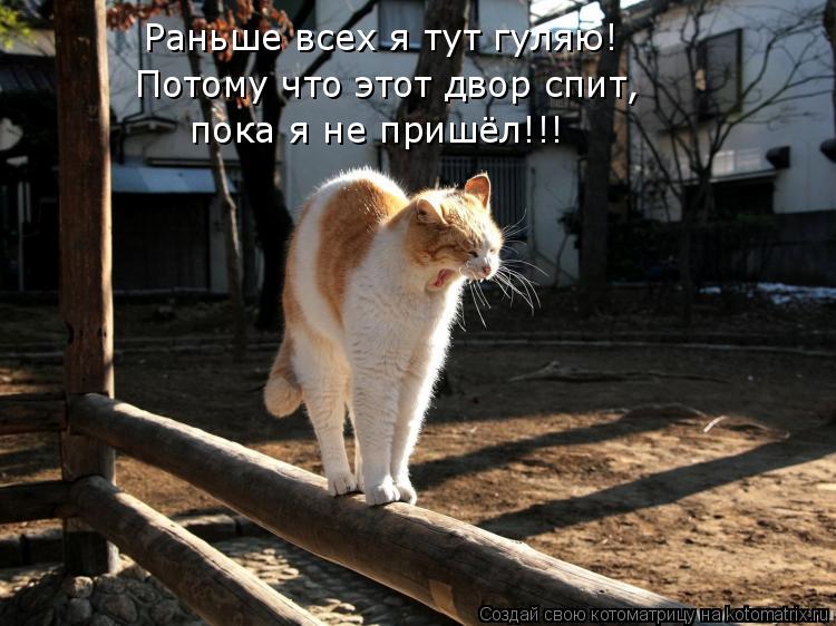 Котоматрица: Раньше всех я тут гуляю! Потому что этот двор спит,  пока я не пришёл!!!