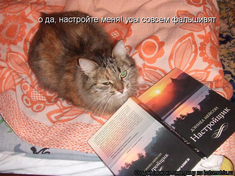 о да, настройте меня! усы совсем фальшивят... Котоматрица: о да, настройте меня! усы совсем фальшивят