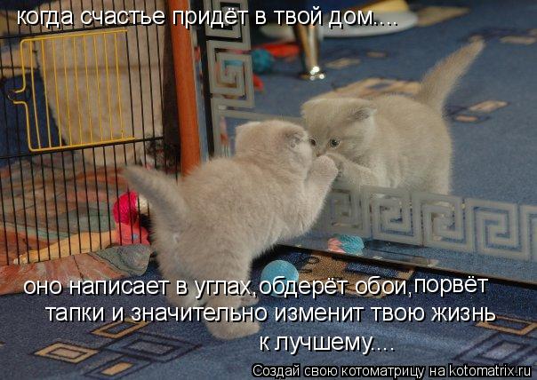 Котоматрица: когда счастье придёт в твой дом.... оно написает в углах,обдерёт обои, порвёт  тапки и значительно изменит твою жизнь к лучшему....