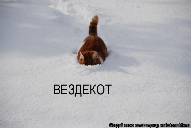 ВЕЗДЕКОТ... Котоматрица: ВЕЗДЕКОТ