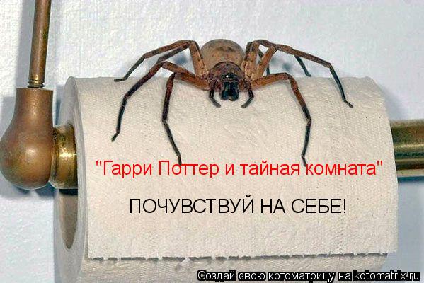 Котоматрица: "Гарри Поттер и тайная комната" ПОЧУВСТВУЙ НА СЕБЕ!