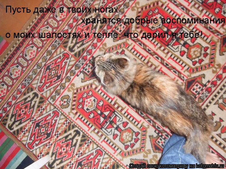 Пусть даже в твоих ногах хранятся добрые воспоминания о моих шалостях и тепле, что дарил я тебе!... Котоматрица: Пусть даже в твоих ногах хранятся добрые воспоминания о моих шалостях и тепле, что дарил я тебе!