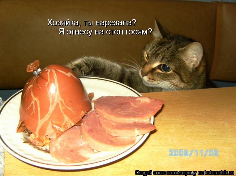 Хозяйка, ты нарезала? Я отнесу на стол госям?... Котоматрица: Хозяйка, ты нарезала? Я отнесу на стол госям?