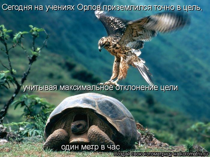Сегодня на учениях Орлов приземлился точно в цель, учитывая максимальное отклонение цели один метр в ... Котоматрица: Сегодня на учениях Орлов приземлился точно в цель, учитывая максимальное отклонение цели один метр в час