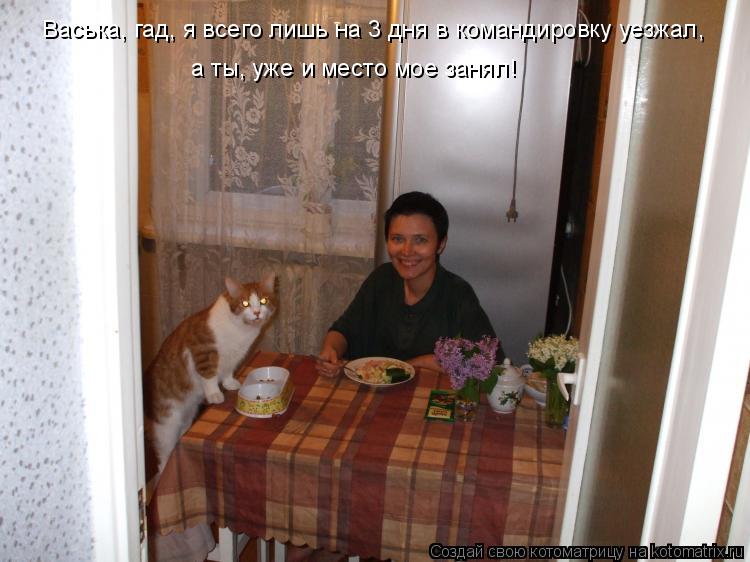 Котоматрица: Васька, гад, я всего лишь на 3 дня в командировку уезжал, а ты, уже и место мое занял!