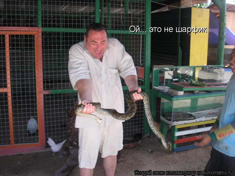 Ой... это не шарфик... Котоматрица: Ой... это не шарфик