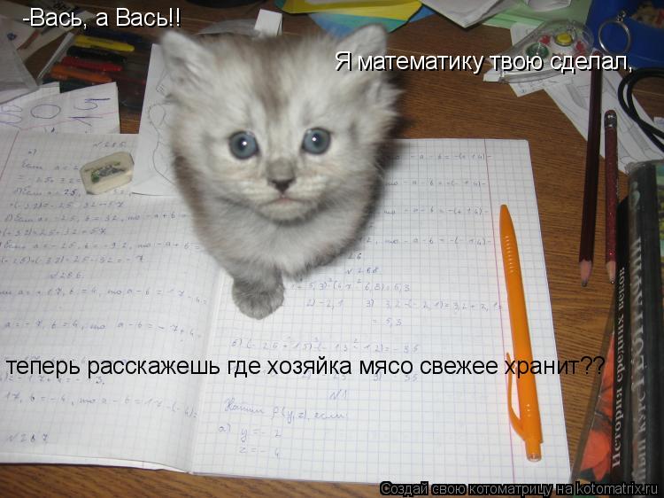Котоматрица: -Вась, а Вась!!  Я математику твою сделал, теперь расскажешь где хозяйка мясо свежее хранит??