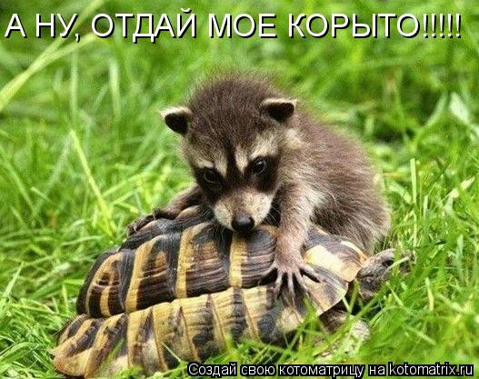 Котоматрица: А НУ, ОТДАЙ МОЕ КОРЫТО!!!!!